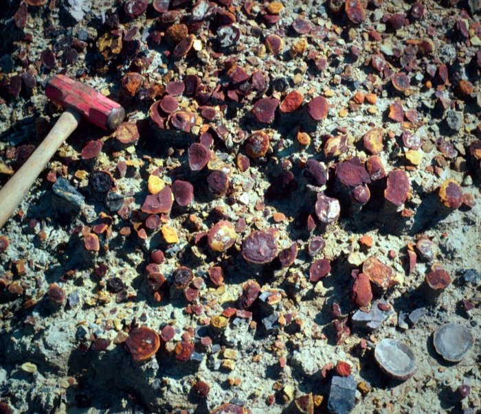 Illinois's Mazon Creek: Recreating 300-Million Year-Old Ecosystem - Fossil Preservation And Diversity Of Life
