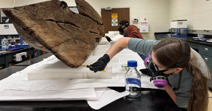 Unusual Canoe Found On Florida’s Gulf Coast Is Not North American