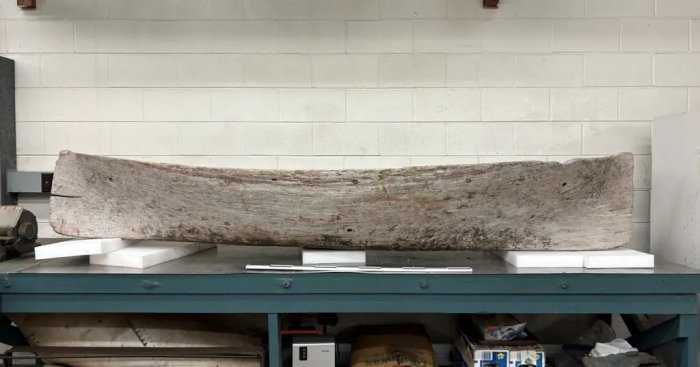 Unusual Canoe Found On Florida’s Gulf Coast Is Not North American