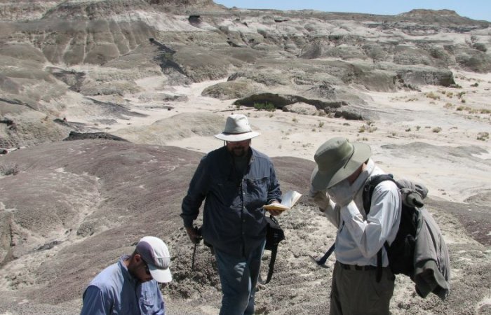 Late-Surviving Dinosaurs In New Mexico Lived In Vibrant, Regionally Distinct Communities Until The Very End