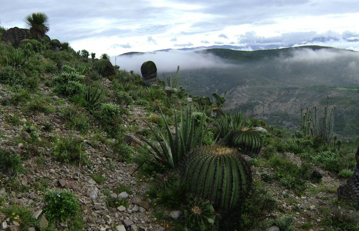Huge Ancient Mesoamerican Scorpion-Shaped Mound Served As An Astronomical Observatory - Not Just For The Elite But Farmers Too