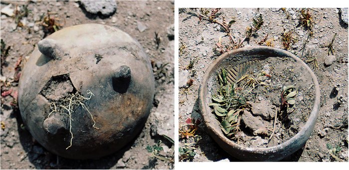 Huge Ancient Mesoamerican Scorpion-Shaped Mound Served As An Astronomical Observatory - Not Just For The Elite But Farmers Too
