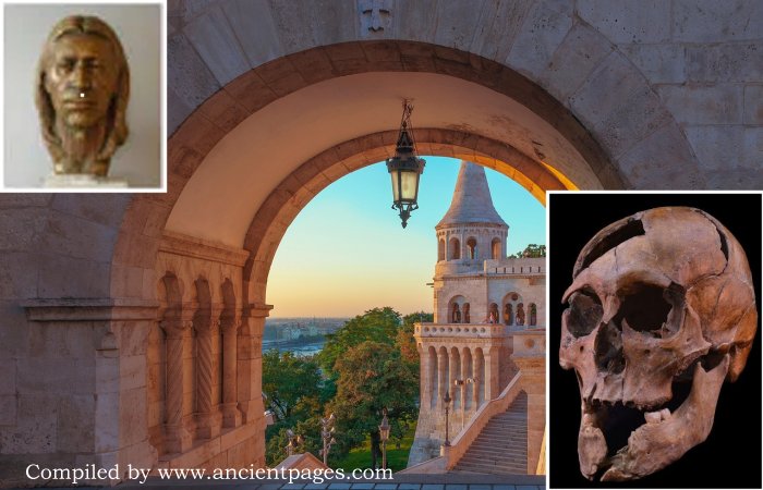 Murder Of Duke Béla Of Macsó: A 700-Year-Old Archaeological Mystery