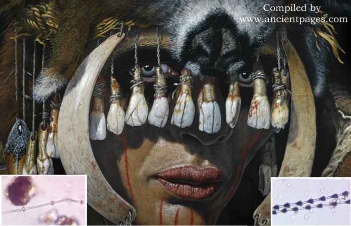 Bad Dürrenberg Shaman's 9,000-Year-Old Spectacular Headdress And Another Surprising Discovery