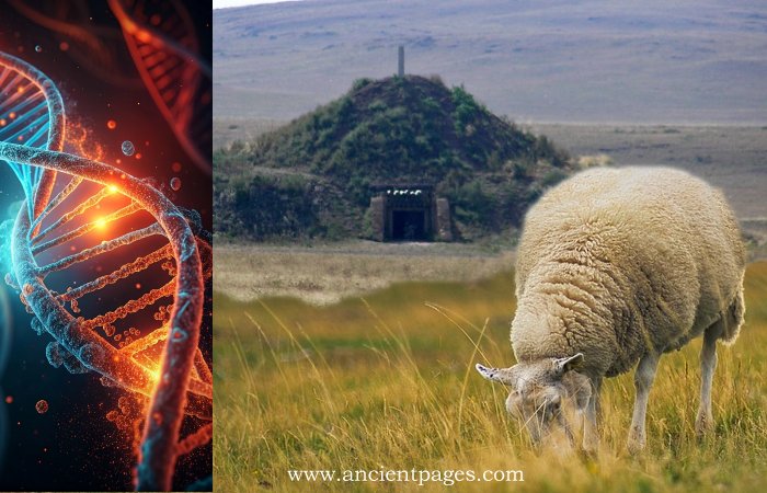 4,000-Year-Old DNA From A Sheep Sheds Light On How The Bronze Age Plague Spread