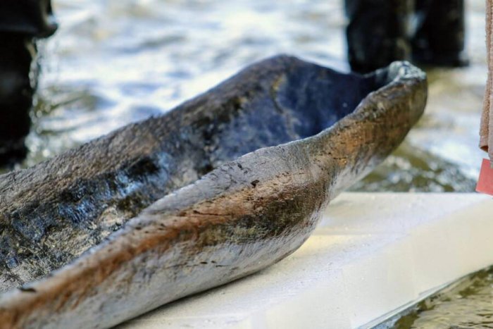 Lake Mendota's Submerged Canoes Predate The Egyptian Giza Pyramids - Why Are The Vessel Underwater?