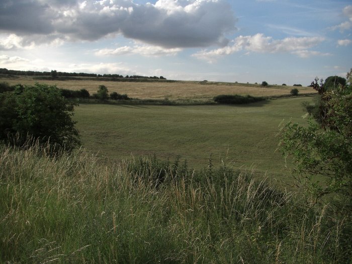 What Is The Giant Neolithic Pit Circle Near Durrington Walls Henge?