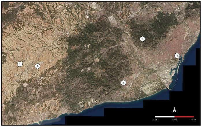 Shell Trumpets From Neolithic Catalonia Were Used For Effective Long-Distance Communication