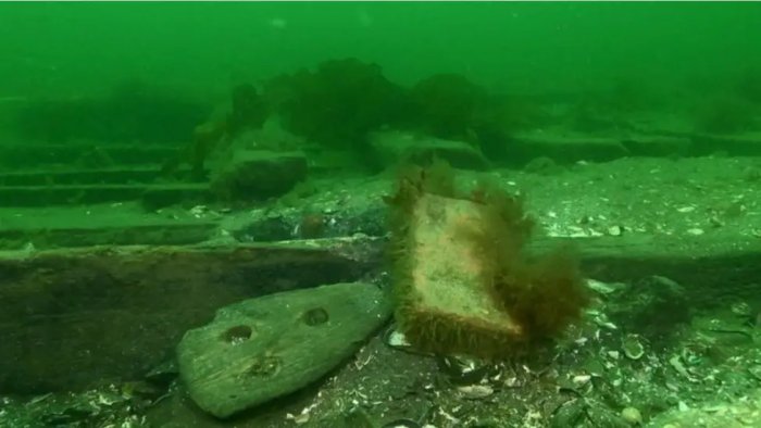 Svaelget 2 - World's Largest Cog - A Medieval Super Ship Discovered By Danish Archaeologists