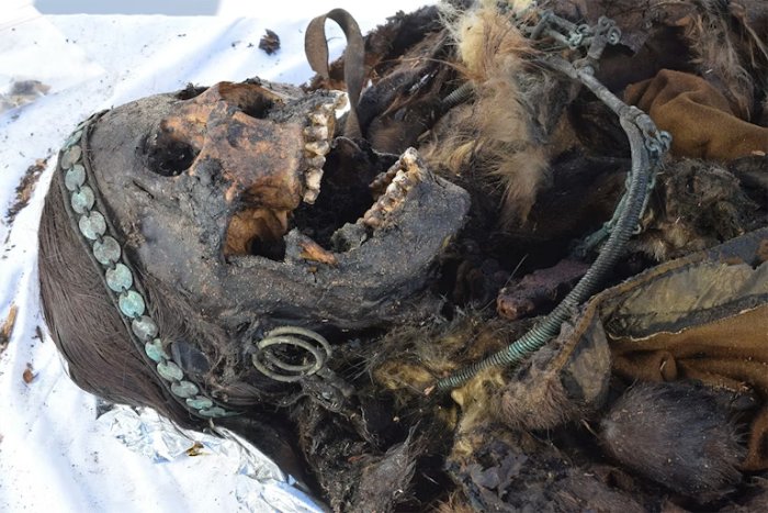 Extremely Well-Preserved Mummy Of Female Yakut Shaman Discovered In Siberia