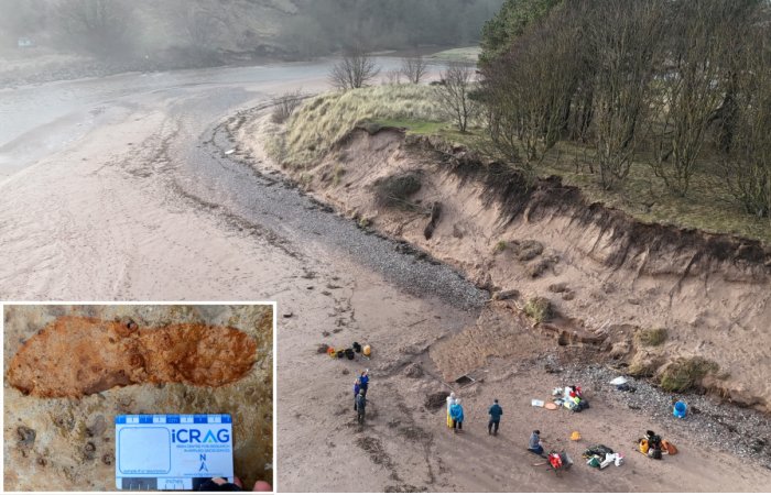 Rare 2,000-Year-Old Footprints Discovered On A Beach In Angus, Scotland