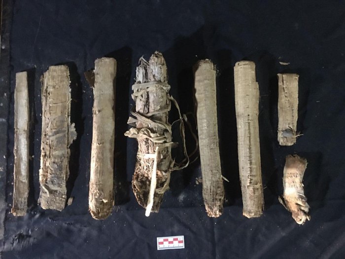 Colored Coffins Of 'The Singers Of Amun' And A Rare Collection Of Papyri Dated To (c. 1069–664 BC) Found In Qurna, West Bank Of Luxor