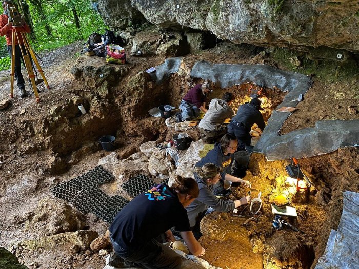 Ancient DNA Reveals: A Single Neanderthal Population Survived 75,000 Years Ago, And Its Descendants Spread Across Europe