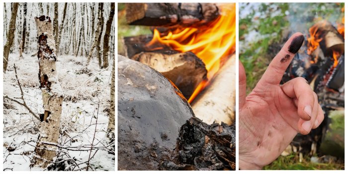 Neanderthals Used Birch Tar As Medicine During The Last Ice Age