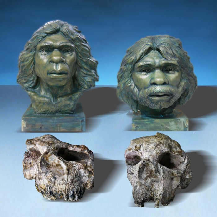 New Findings Rewrite Our Understanding Of Early Hominin Dispersal From Africa To Eurasia