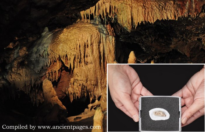 Mysterious 15,000-Year-Old Artifact Found In Kent's Cavern Has A Fascinating Story To Tell