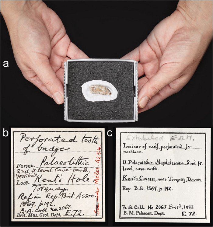 Mysterious 15,000-Year-Old Artifact Found In Kents Cavern Has A Fascinating Story To Tell