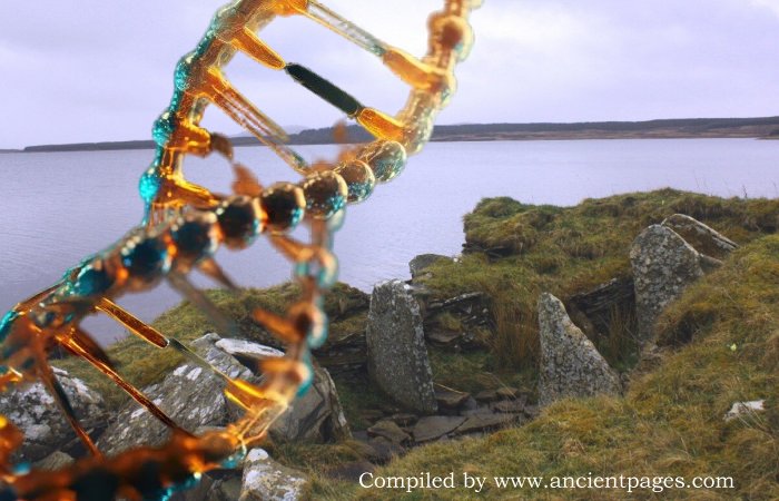 Huge Scottish Neolithic Tombs Were Built To Trace Kinship And Lineages Over Centuries