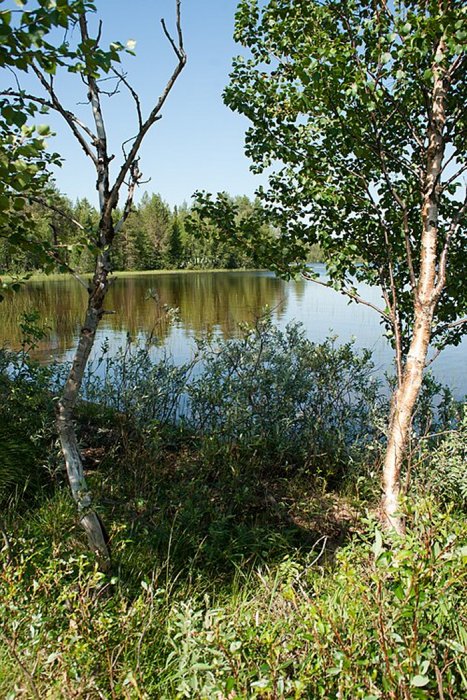 Intriguing Sámi Burial At Lake Kitka In Kuusamo: New Study Rewrites The Story