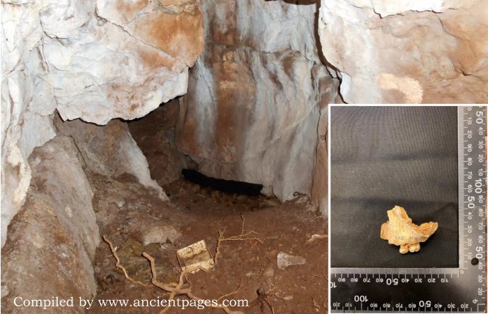 Oldest Human Remains In Northern Britain, Belonging To An 11,000-Year-Old Female Child, Discovered At Heaning Wood Bone Cave in Great Urswick, Cumbria,