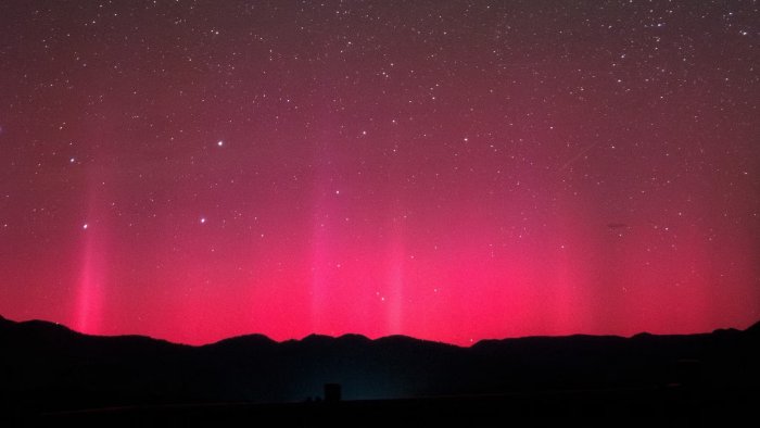 Medieval Japanese Poetry And Ancient Buried Trees Reveal Clues About Unpredictable Space Weather