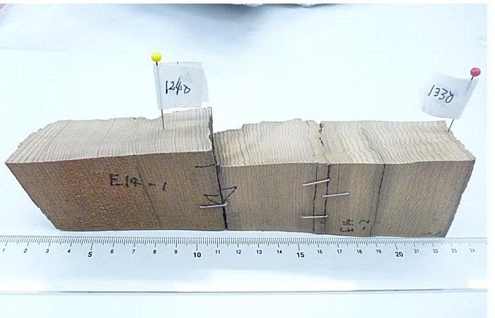 Medieval Japanese Poetry And Ancient Buried Trees Reveal Clues About Unpredictable Space Weather