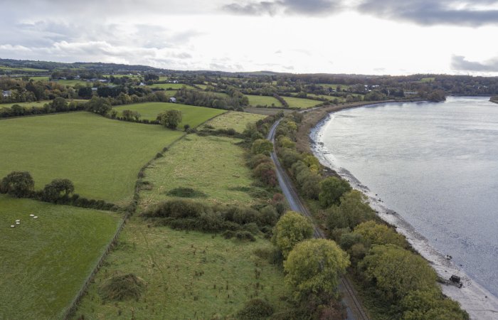 Could Woodstown Be Ireland's Largest Viking Settlement? Archaeologists Say It's Possible