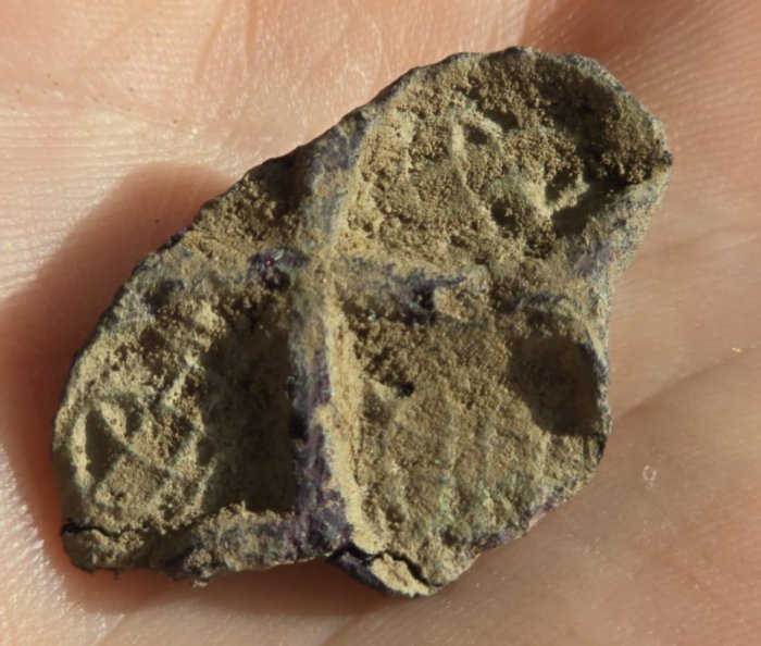 Could Woodstown Be Ireland's Largest Viking Settlement? Archaeologists Say It's Possible