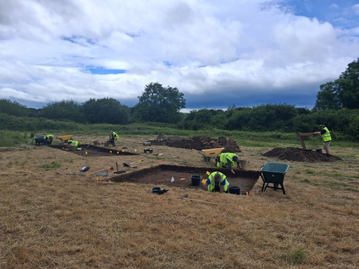 Could Woodstown Be Ireland's Largest Viking Settlement? Archaeologists Say It's Possible