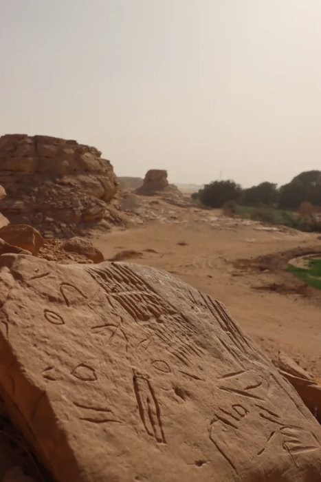 Egypt's Millennia-Old Rock Art At Risk From Climate Change - Polish Scientists Race To Document It