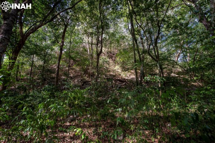 Forgotten Ancient Maya City El Yesal And Its Large Pyramids In The Balam Kú Biosphere Reserve, Mexico, Revealed By Archaeologists