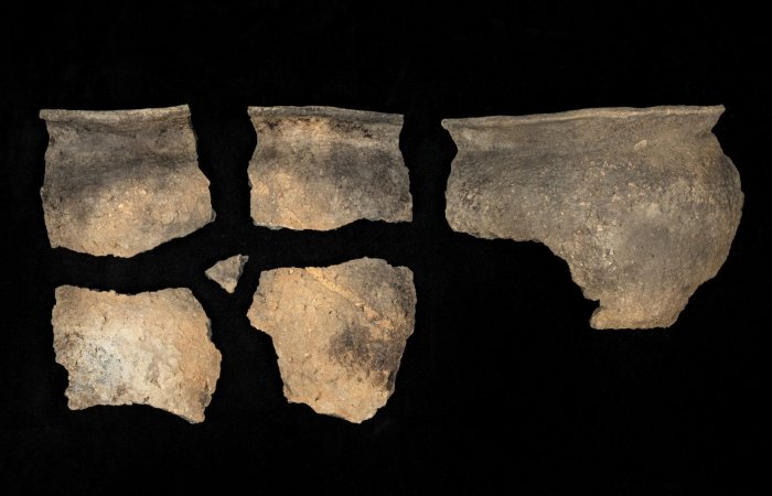 Rare Centuries-Old Native American Potano Pot Of Unknown Purpose Discovered In Florida